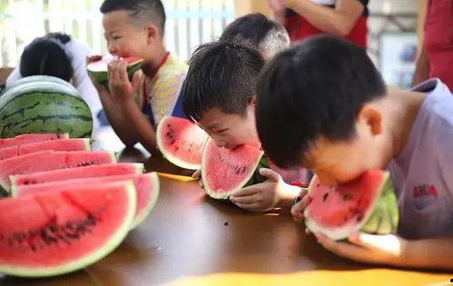 吃瓜大赛孩子,吃瓜大赛萌娃们的欢乐盛宴