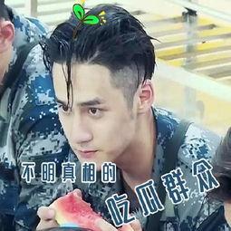 檀健次吃瓜表情,解锁娱乐圈最新“表情包”密码