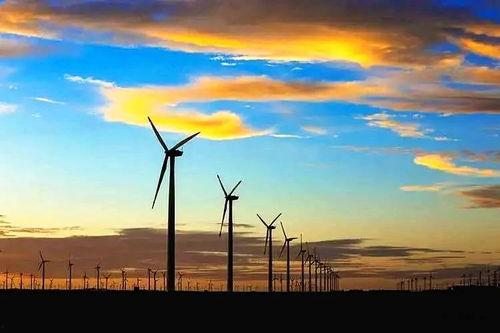 瓜州吃驼峰,驼峰的独特风味之旅