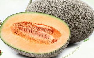 大姨妈吃哈密瓜,哈密瓜的神奇食疗之旅