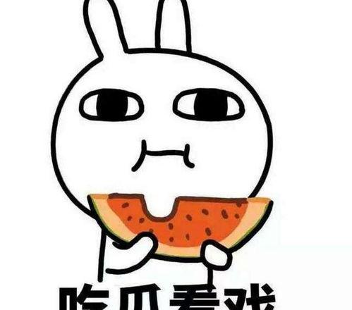 理性吃瓜真假,揭秘网络舆论背后的真相与假象