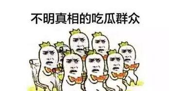 吃瓜群众每天看戏,吃瓜群众围观娱乐圈风云变幻