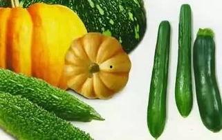 蜕变吃瓜,吃瓜群众的成长与觉醒