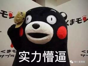 带你吃瓜o o,带你领略“带你吃瓜o o”的独特魅力