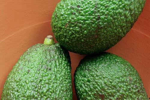 咳嗽可以吃红哈密瓜吗,缓解咳嗽的天然良药？