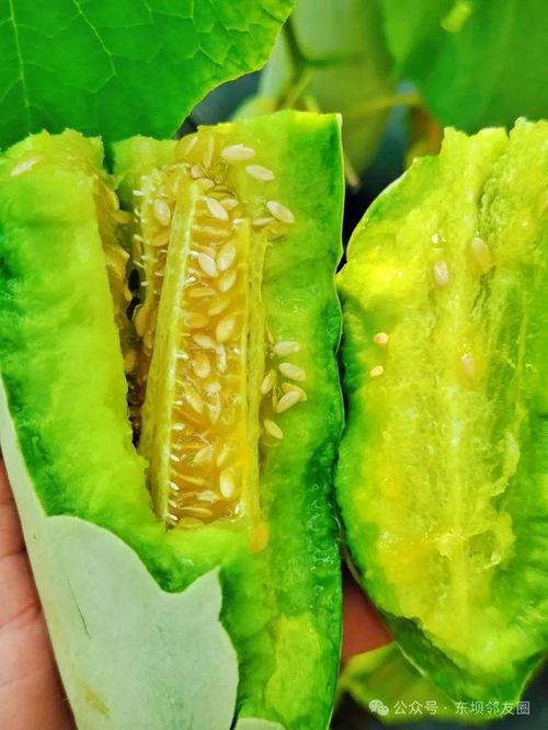 瓜哥吃瓜情侣头像,情侣头像中的甜蜜瞬间