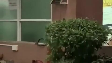 霍州最新吃瓜新闻事件,真相竟如此惊人！