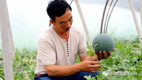 武山老师吃瓜,揭秘娱乐圈幕后故事