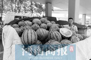 吃瓜中牟,揭秘娱乐圈背后的故事