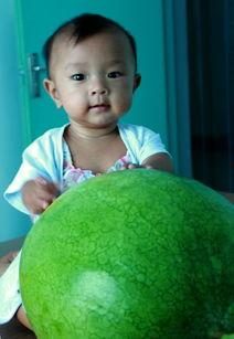 吃瓜yyv6,网络红人的崛起之路