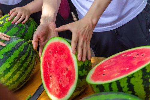 重庆大学吃瓜,吃瓜群众揭秘校园美食传奇