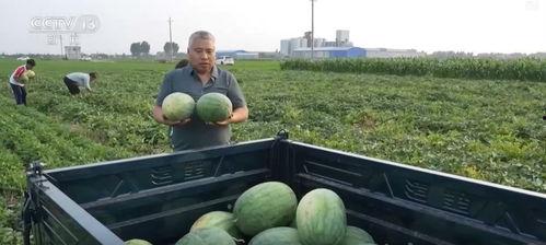 水平吃瓜,揭秘娱乐圈幕后真相