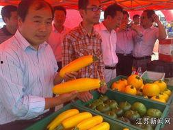 江苏阿姨聚会吃瓜,瓜田乐享，邻里情深