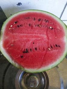 上午吃同事给的瓜中午吃