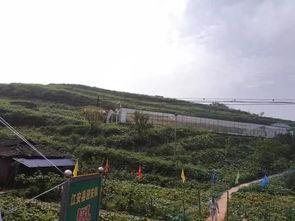 延安吃瓜群众事件