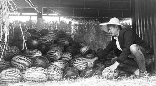 延安吃瓜群众事件