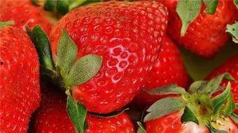 草莓仙女吃瓜,草莓仙女与神秘瓜果的奇幻之旅