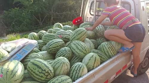 门口卖瓜吃,探寻街头美食的独特魅力