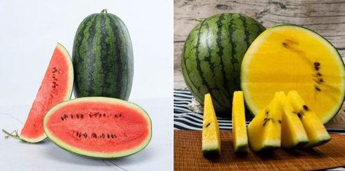 吃瓜锐评vtb,揭秘虚拟主播们的幕后故事