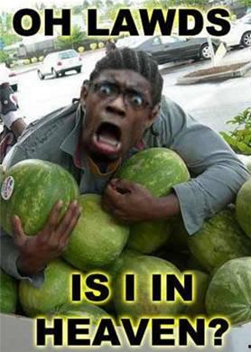 吃瓜罗伯特的由来,揭秘网络热词的演变之路