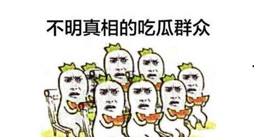吃瓜群众肖像,他们是谁，为何如此热衷于围观娱乐圈风云