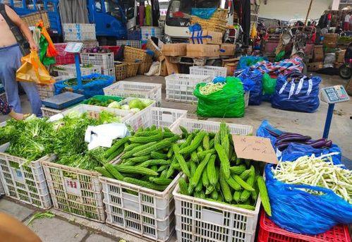 摆摊吃瓜怎么样,品味人间烟火——吃瓜群众的市井生活