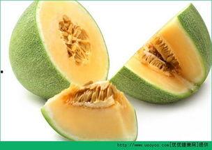 吃蜜瓜会上火