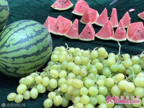 山东这个瓜怎么吃,解锁美味多汁的“瓜”界新宠