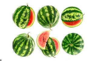 贝特瑞吃瓜,揭秘娱乐圈幕后真相