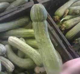 贝特瑞吃瓜,揭秘娱乐圈幕后真相