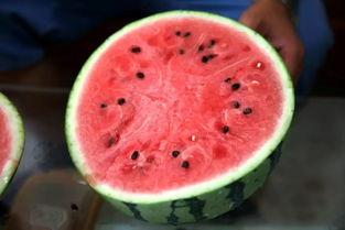 吃瓜究竟吃的是什么瓜,吃瓜群众究竟在品尝何种瓜果之谜