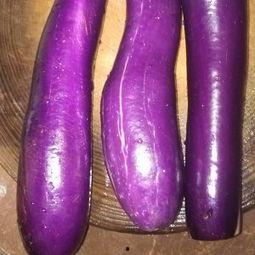 产后可以吃茄瓜,茄瓜助力妈妈健康恢复