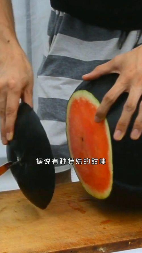 煤球儿吃瓜,揭秘网络热词背后的趣味与思考