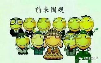 如何描述吃瓜群众,网络时代的围观者众生相