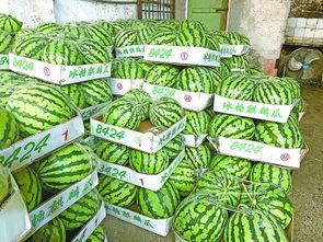 吃瓜热线,吃瓜热线背后的惊人真相