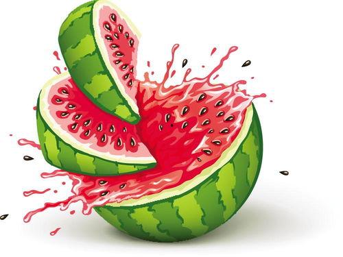 和小朋友吃瓜文案,与小朋友共享甜蜜瓜果时光