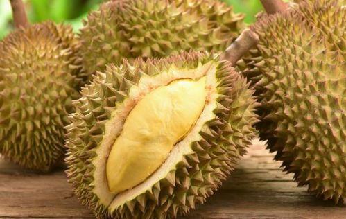 吃榴莲可以吃方瓜吗,探索异域美食的奇妙搭配