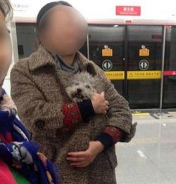 吃瓜老弟陆鹏,揭秘娱乐圈幕后故事