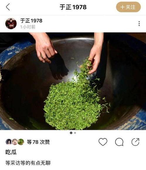 露思吃瓜法,露思吃瓜法带你领略明星幕后故事