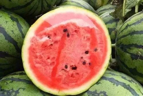 怎么吃哈米瓜,轻松掌握健康美味新体验