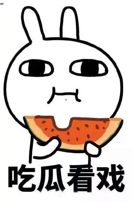 贝儿吃瓜,揭秘娱乐圈背后的秘密与真相