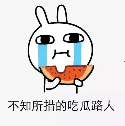 滑稽加吃瓜等于,趣味横生