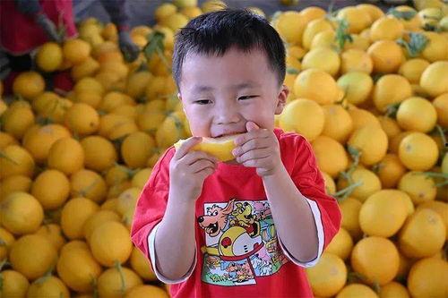 孩子可以吃赖瓜么,赖瓜的营养与食用指南