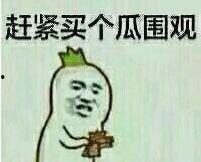 旱獭吃瓜表情,萌态可掬的夏日趣味瞬间