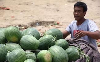 好心吃瓜人,揭秘网络舆论背后的真相与反思