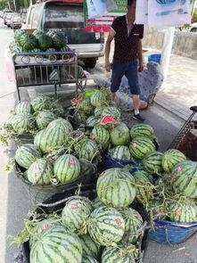 南昌莲塘吃瓜事件视频,一场引发热议的街头冲突瞬间